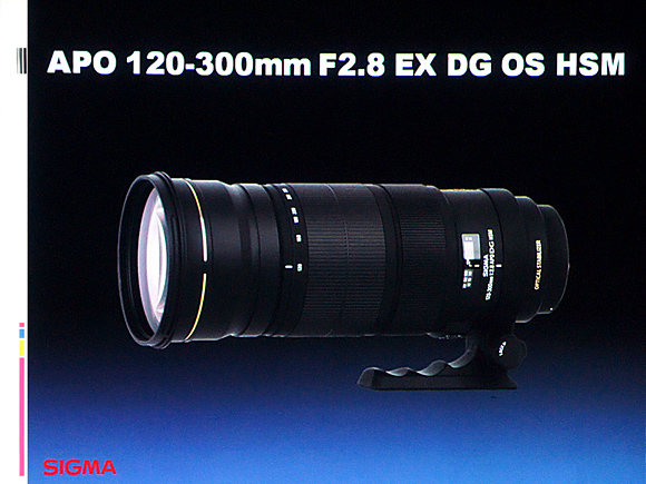 APO 120-300mm F2.8 EX DG OS HSM