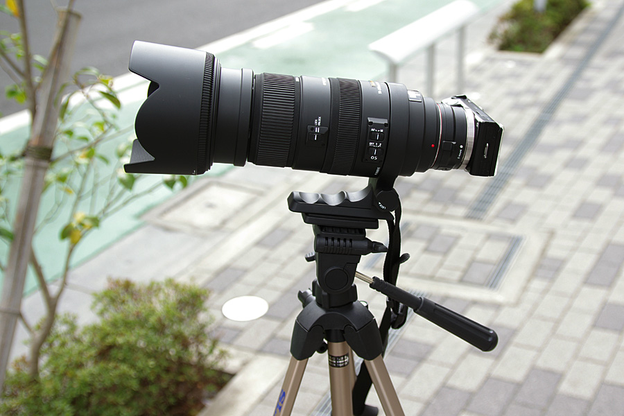 NEX-5 ＋ SIGMA APO 50-500mm F4.5-6.3 DG OS HSM レビュー その2 ...